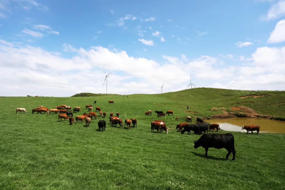 1622623104256770.jpg 1622623104256770.jpg