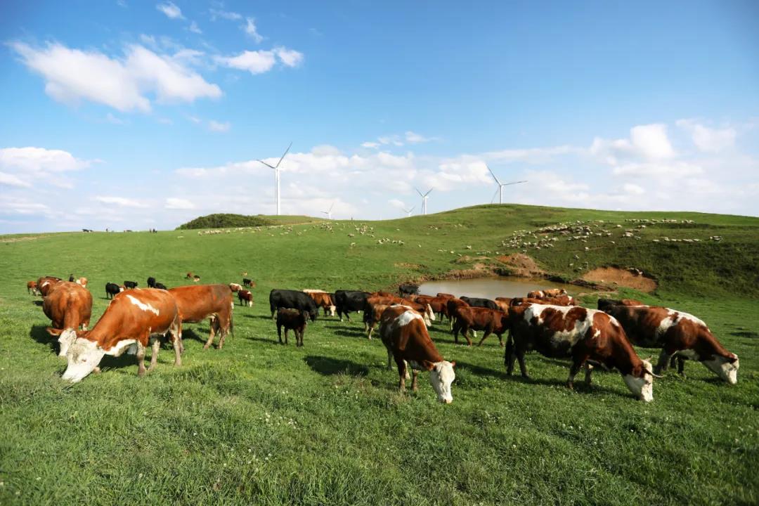 1622623126102308.jpg 1622623126102308.jpg