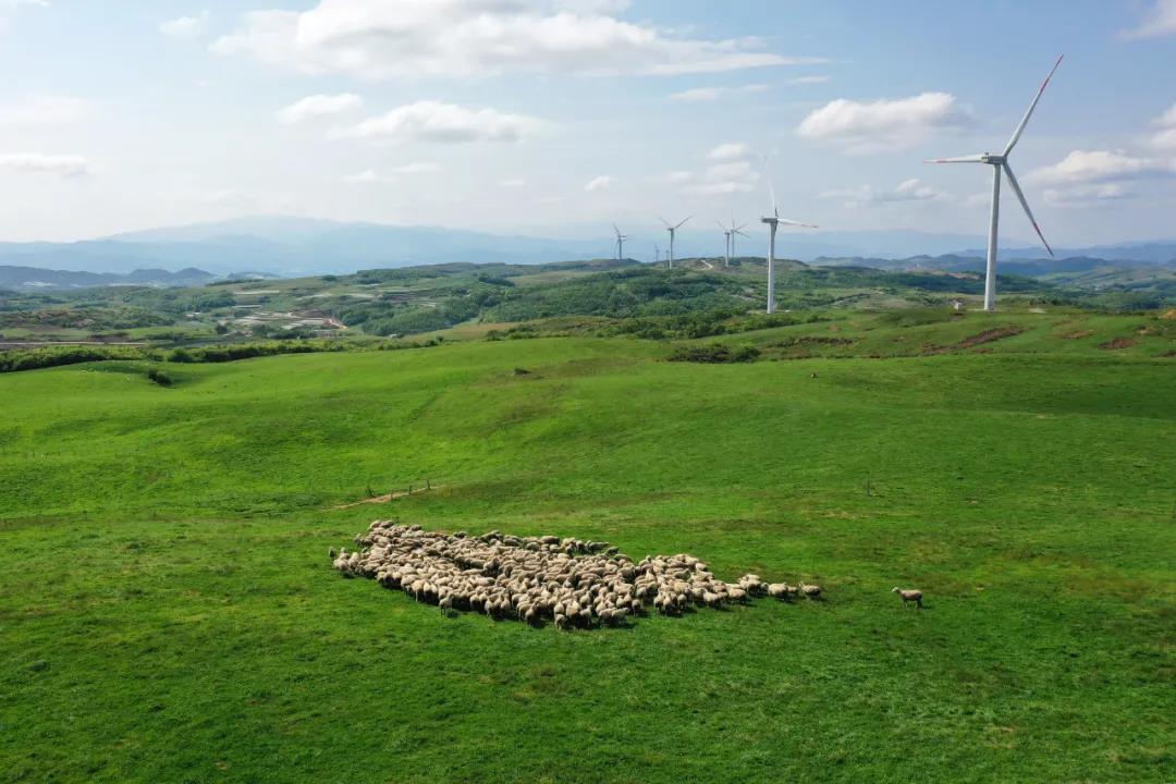 1622623188267915.jpg 1622623188267915.jpg