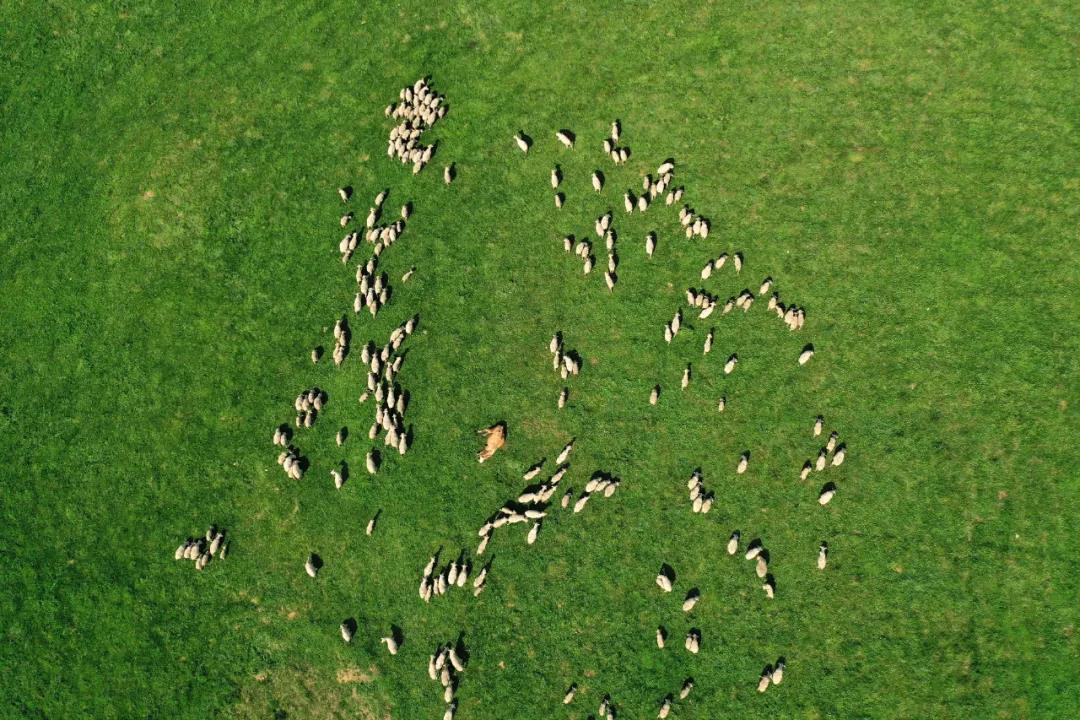 1622623281245281.jpg 1622623281245281.jpg