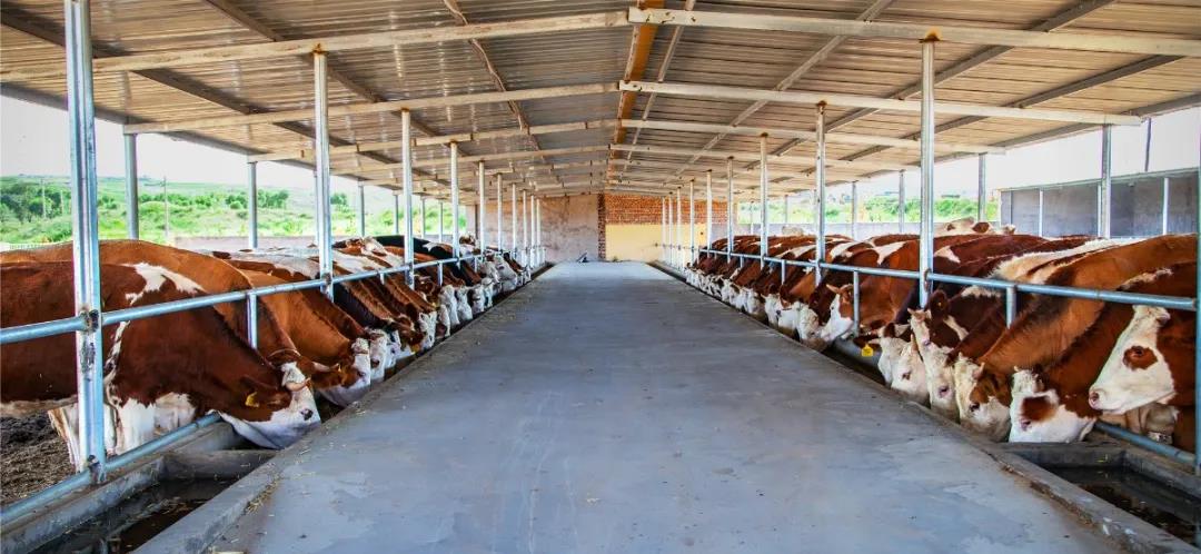 1622689302756713.jpg 1622689302756713.jpg