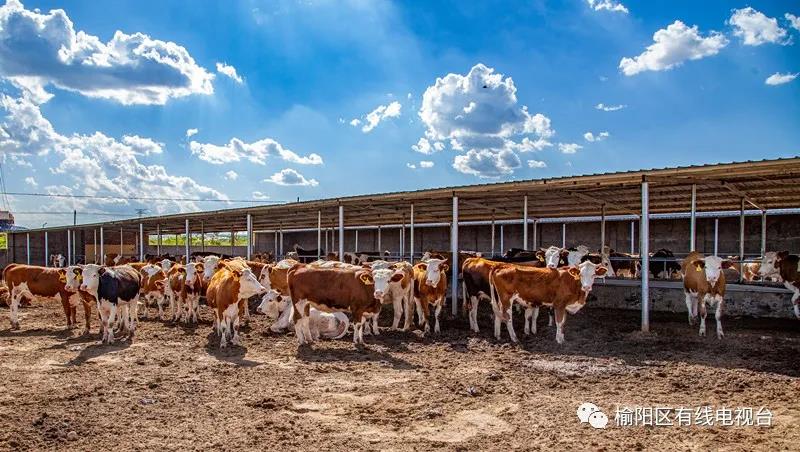 1622689338316455.jpg 1622689338316455.jpg