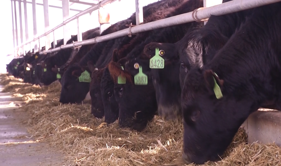 1622689401372655.png 1622689401372655.png