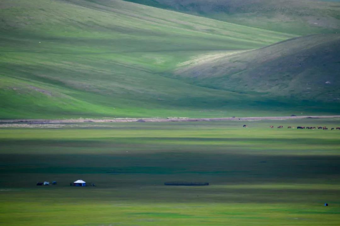 1622768650110225.jpg 1622768650110225.jpg