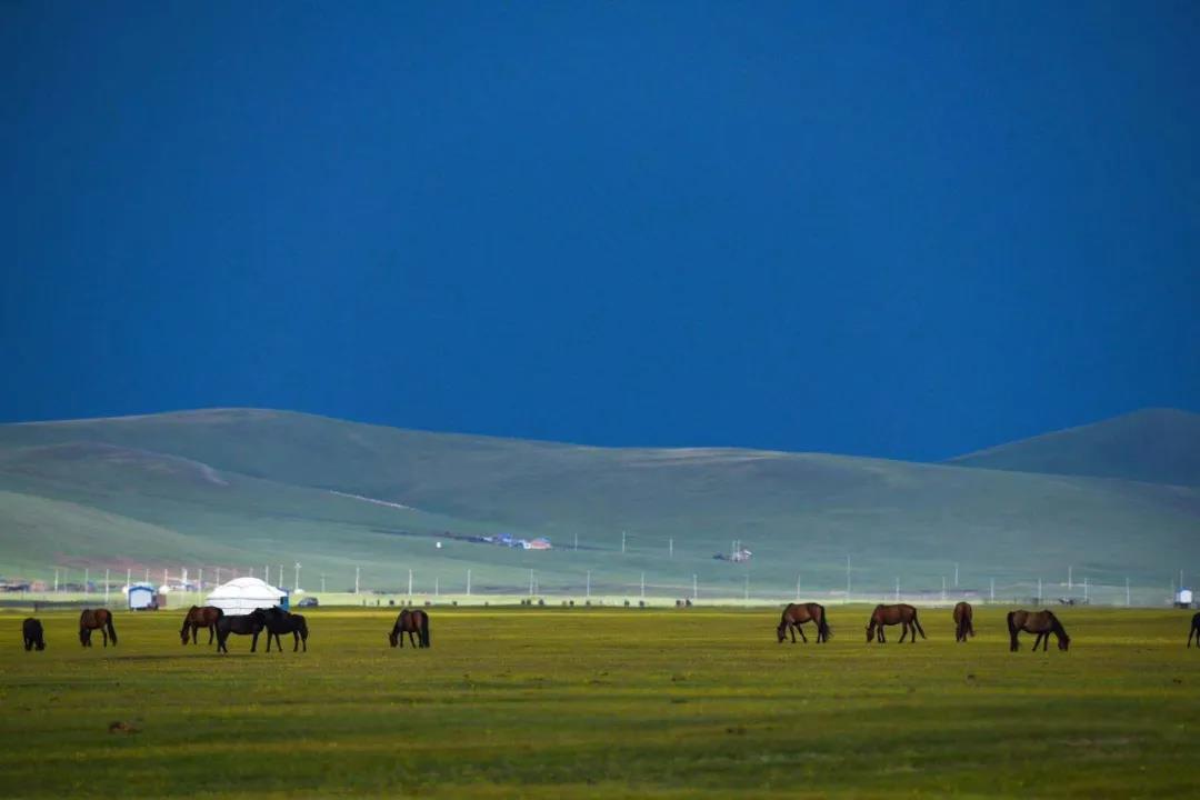 1622768676118638.jpg 1622768676118638.jpg