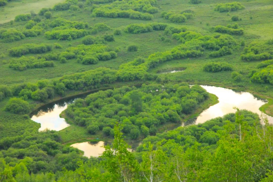 1622768703937533.jpg 1622768703937533.jpg