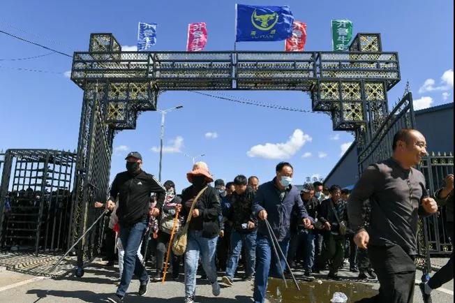 1622856225729044.jpg 1622856225729044.jpg