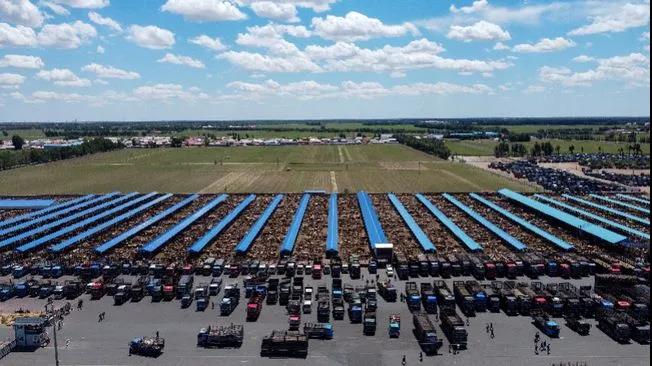 1622856250450026.jpg 1622856250450026.jpg