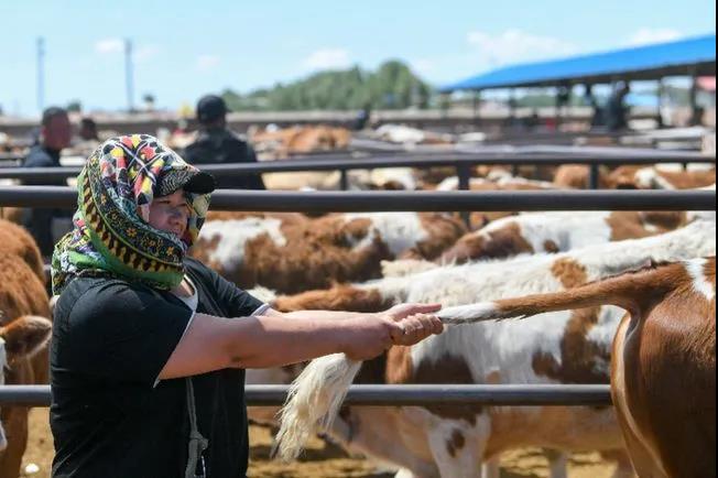 1622856302403810.jpg 1622856302403810.jpg