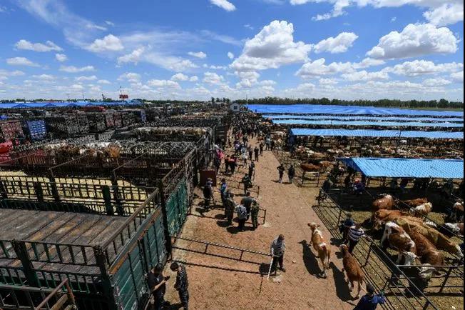 1622856334982759.jpg 1622856334982759.jpg