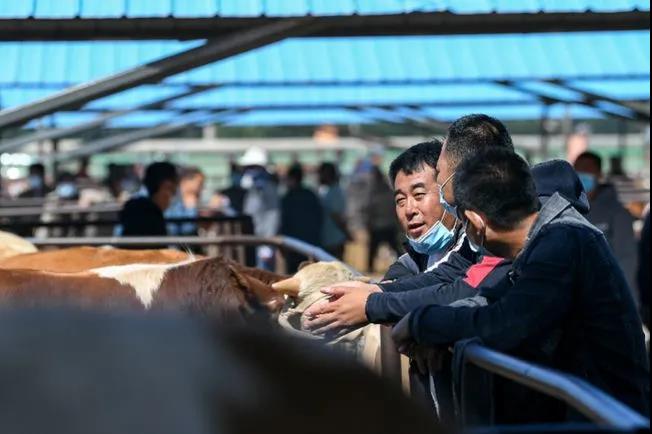 1622856368699997.jpg 1622856368699997.jpg