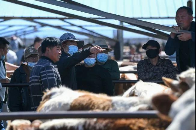 1622856442325621.jpg 1622856442325621.jpg