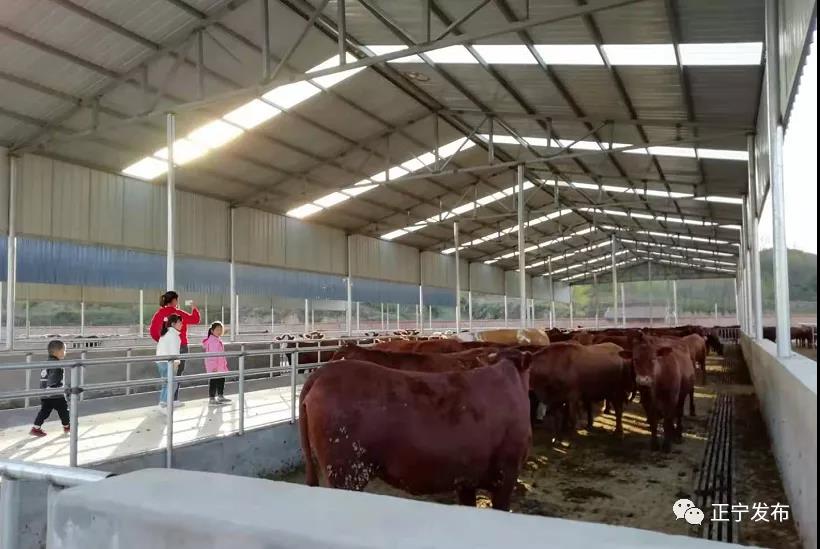 1623206068683602.jpg 1623206068683602.jpg