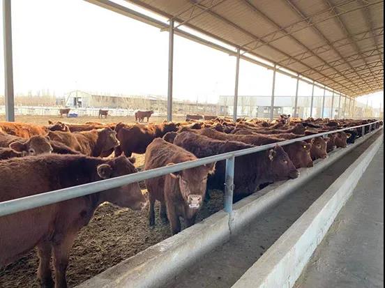 1624408470108022.jpg 微信图片_20210623083254.jpg