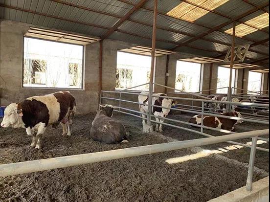 1624408483840711.jpg 微信图片_20210623083257.jpg