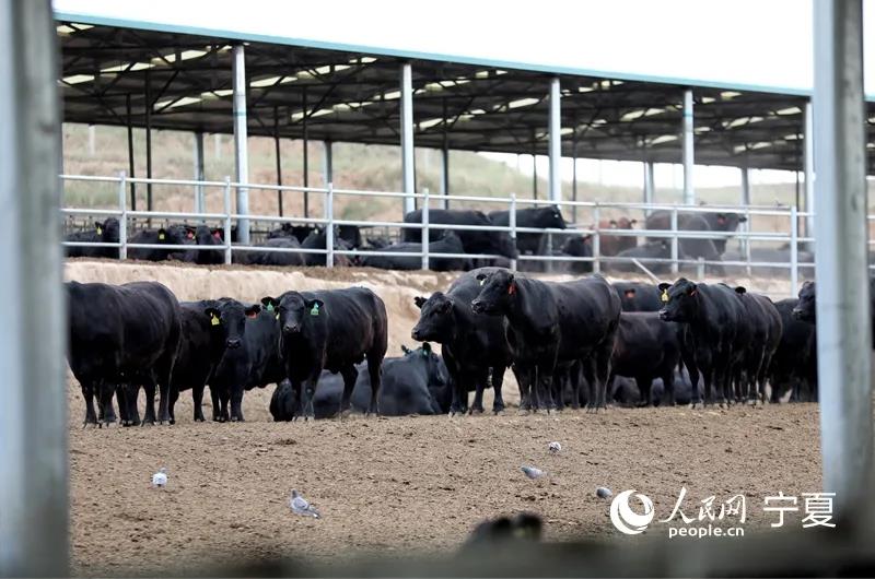 1627628813829265.jpg 微信图片_20210730150620.jpg