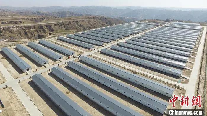 1632276973689842.jpg 1632276973689842.jpg