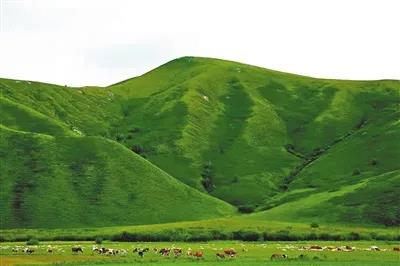 1632277323873243.jpg 1632277323873243.jpg