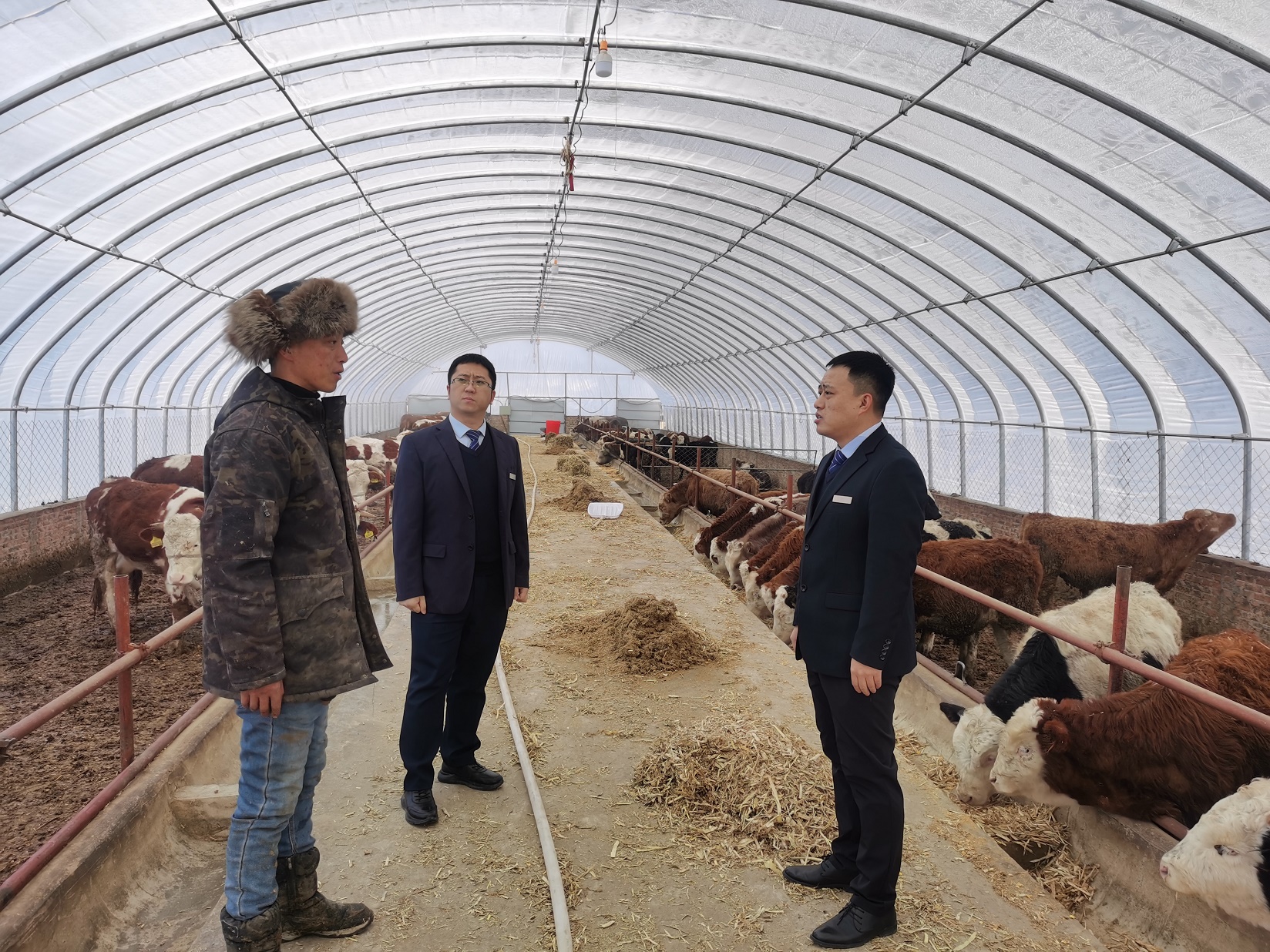 1640335342735542.jpg 01.jpg