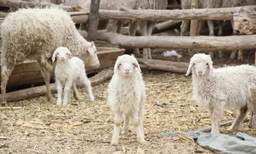 1648089998108310.jpg 微信图片_20220324103952.jpg