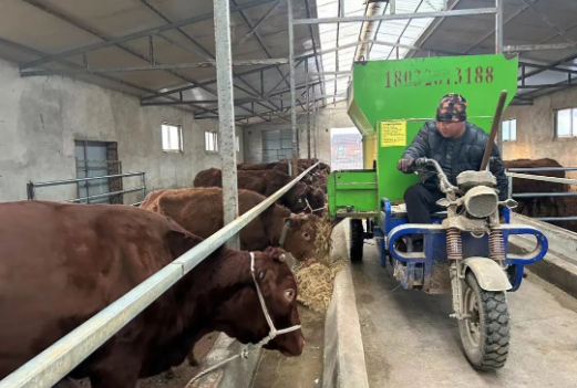 1705301920655460.png image.png