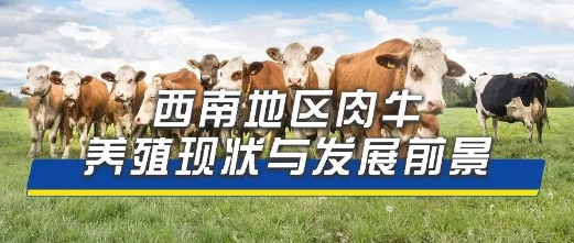 1705302327539618.png image.png