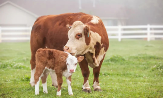 1705302387131849.png image.png