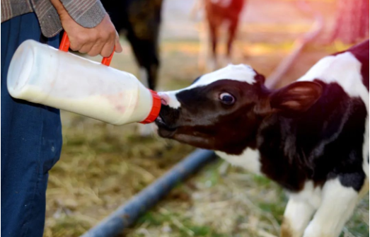 1705302405827974.png image.png