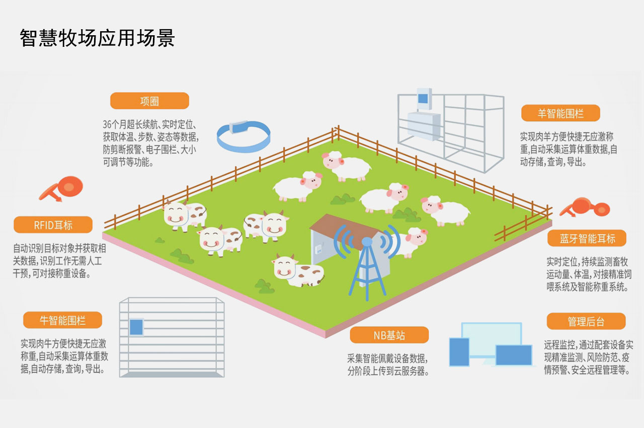 智慧牧场数字化方案：推动养殖行业技术进步