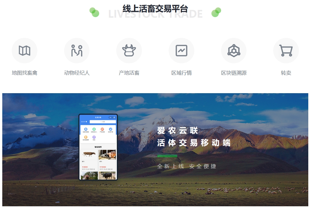牲畜交易数字化升级：活牛市场智慧化转型